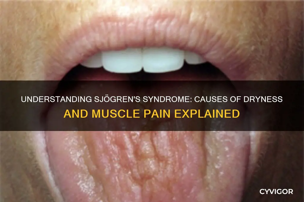 what causes drynes and muscle pain in sjorgen