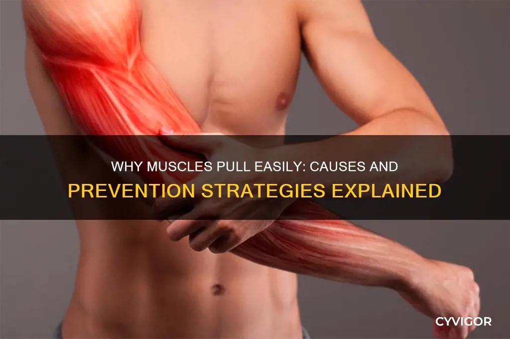 what causes easily pulled muscles