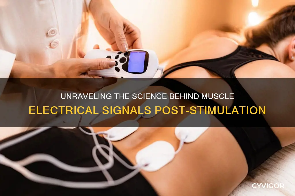 what causes electrical signals in muscle tissue after stimulas