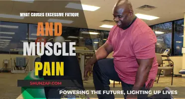 Unraveling Excessive Fatigue and Muscle Pain: Root Causes and Solutions