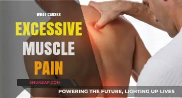Understanding Excessive Muscle Pain: Causes, Triggers, and Prevention Strategies
