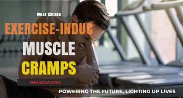 Understanding Exercise-Induced Muscle Cramps: Causes and Prevention Strategies