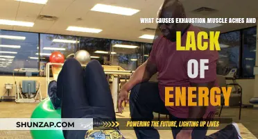 Unraveling Exhaustion, Muscle Aches, and Energy Loss: Root Causes Explained