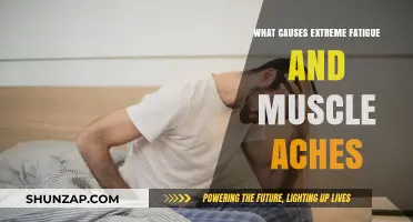 Unraveling Extreme Fatigue and Muscle Aches: Common Causes and Solutions