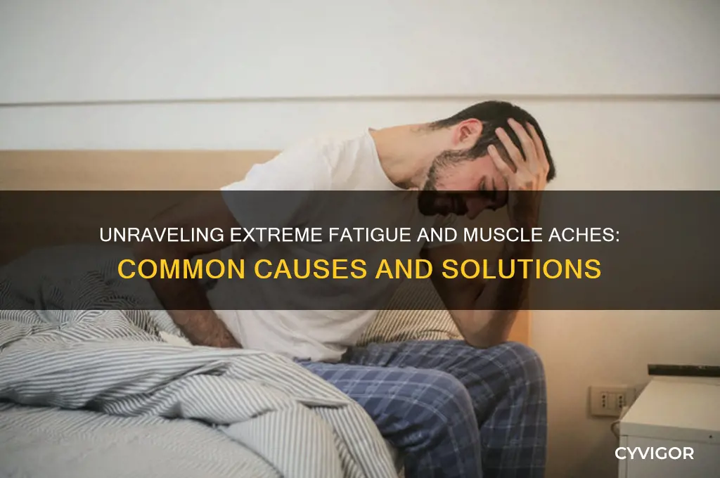 what causes extreme fatigue and muscle aches