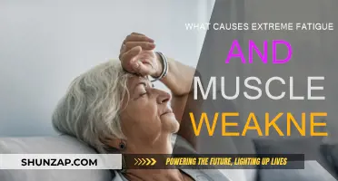 Unraveling the Mystery of Fatigue and Muscle Weakness