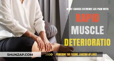 Unraveling Extreme Leg Pain and Rapid Muscle Deterioration: Causes Explained