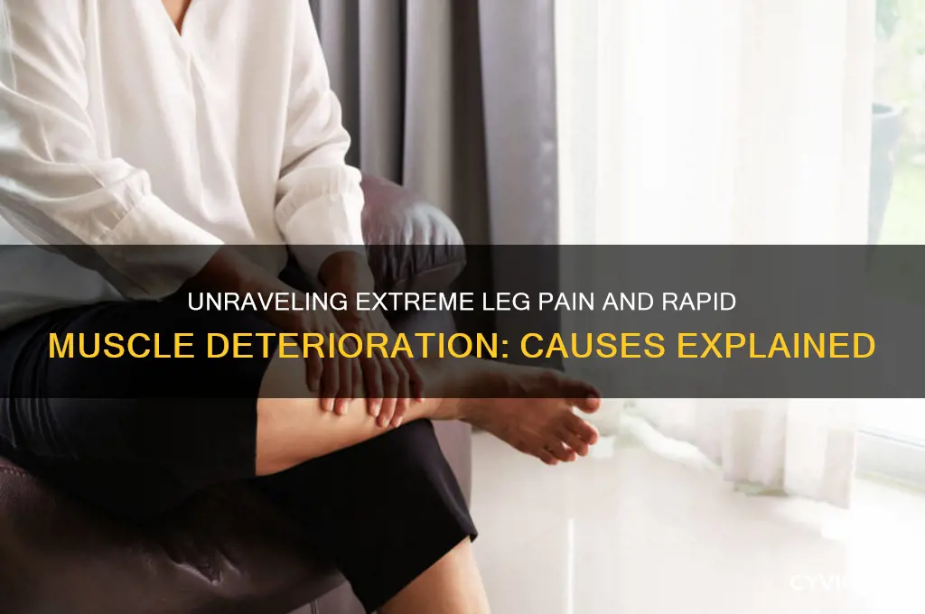 what causes extreme leg pain with rapid muscle deterioration