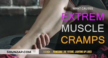 Muscle Cramps: Understanding the Root Cause