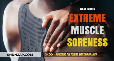 Unraveling Extreme Muscle Soreness: Causes, Prevention, and Recovery Tips