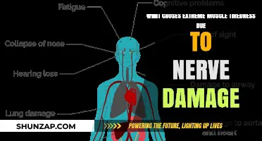 Nerve Damage and Muscle Fatigue: Unraveling the Causes of Extreme Tiredness