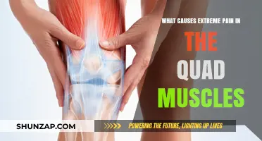 Unraveling Quad Muscle Agony: Causes of Extreme Pain Explained