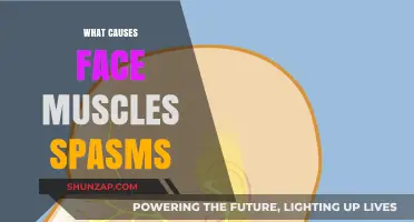 Understanding Face Muscle Spasms: Causes and Triggers Explained