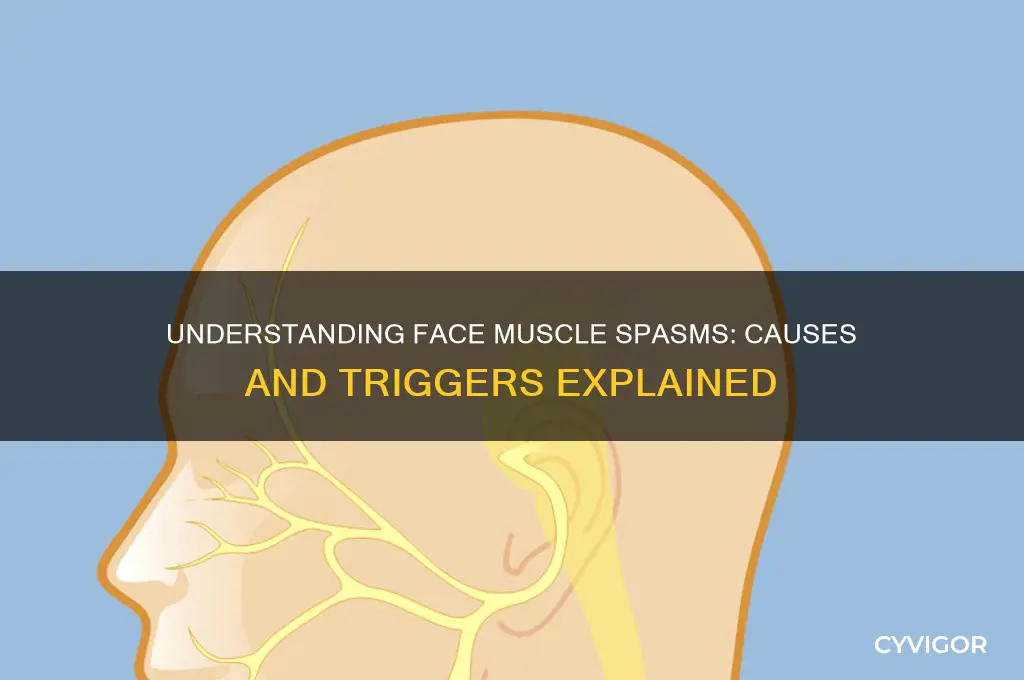 what causes face muscles spasms