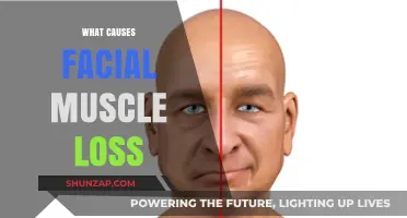 Understanding Facial Muscle Loss: Causes, Factors, and Prevention Strategies