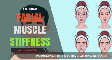 Understanding Facial Muscle Stiffness: Causes and Contributing Factors Explained