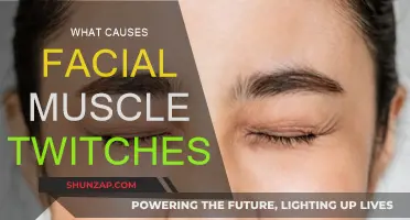 Facial Muscle Twitching: What's Behind It?