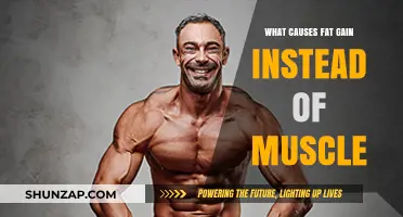 Why You're Gaining Fat Instead of Muscle: Key Factors Explained