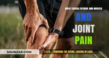 Understanding Fatigue, Muscle, and Joint Pain: Common Causes Explained