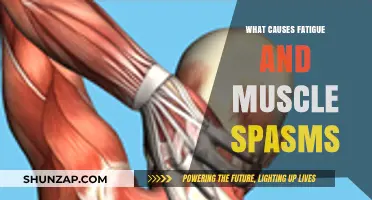 Unraveling Fatigue and Muscle Spasms: Causes and Underlying Factors Explained