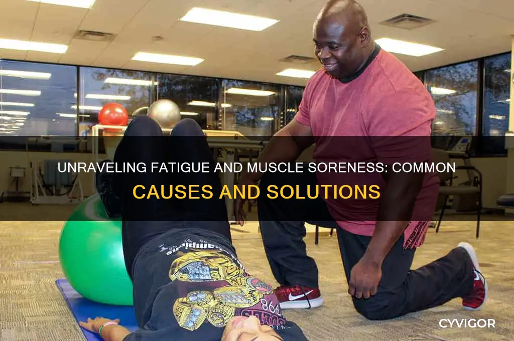 what causes fatigue and sore muscles