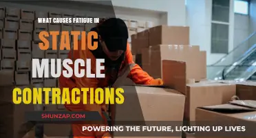 Unraveling the Mystery: Causes of Fatigue in Static Muscle Contractions
