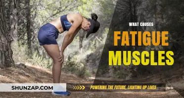 Understanding Muscle Fatigue: Causes, Symptoms, and Effective Prevention Strategies
