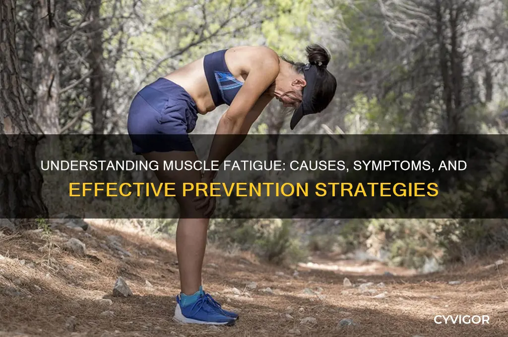 what causes fatigue muscles