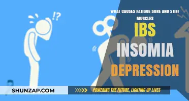Unraveling Chronic Fatigue, Muscle Pain, IBS, Insomnia, and Depression: Root Causes Explained