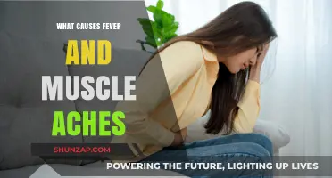 Understanding Fever and Muscle Aches: Common Causes and Triggers Explained