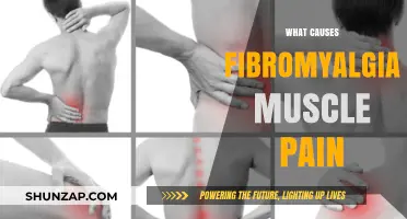 Unraveling Fibromyalgia: Understanding the Root Causes of Muscle Pain