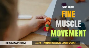 Understanding the Science Behind Fine Muscle Movements: Causes and Mechanisms