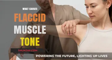 Understanding Flaccid Muscle Tone: Causes and Contributing Factors Explained