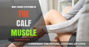 Understanding Calf Muscle Fluttering: Causes and Potential Triggers Explained