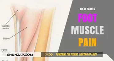 Understanding Foot Muscle Pain: Common Causes and Effective Relief Strategies