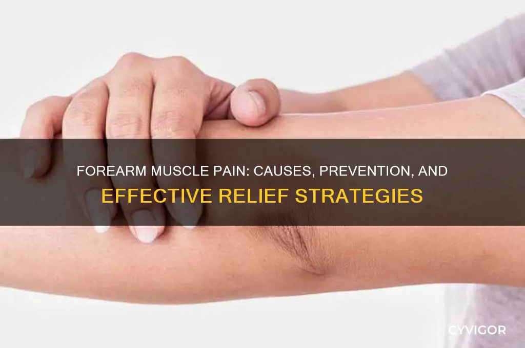 what causes forearm muscle pain