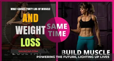 Unveiling the Secrets Behind Dramatic Muscle Gain and Weight Loss