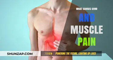 Understanding GERD: Causes, Muscle Pain, and Effective Relief Strategies