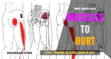 Why Your Glutes Ache: Common Causes of Glute Muscle Pain