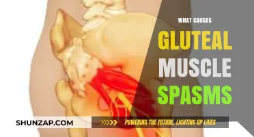 Understanding Gluteal Muscle Spasms: Causes and Triggers Explained