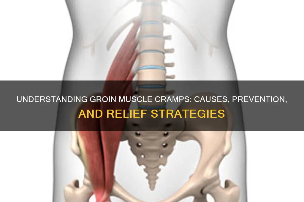 what causes groin muscle cramps
