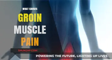 Understanding Groin Muscle Pain: Common Causes and Effective Remedies