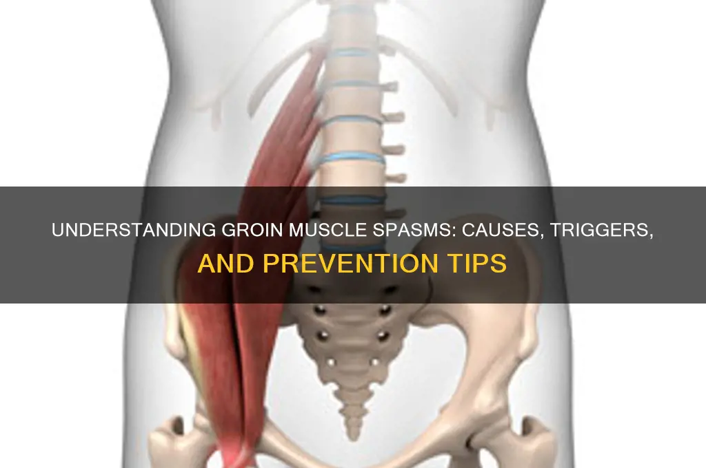 what causes groin muscle spasm