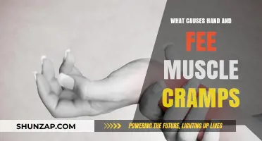 Understanding Hand and Foot Muscle Cramps: Common Causes and Triggers