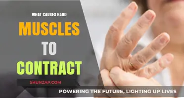 Understanding Hand Muscle Contractions: Causes and Triggers Explained