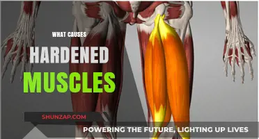 Understanding Hardened Muscles: Causes, Prevention, and Effective Relief Strategies