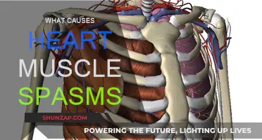 Understanding Heart Muscle Spasms: Causes and Triggers