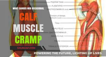 Understanding Occasional Calf Muscle Cramps: Causes and Prevention Tips