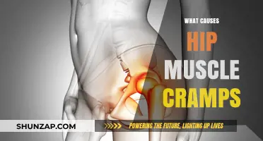 Understanding Hip Muscle Cramps: Causes, Prevention, and Relief Strategies