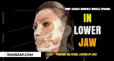 Understanding Lower Jaw Muscle Spasms: Causes and Relief Strategies